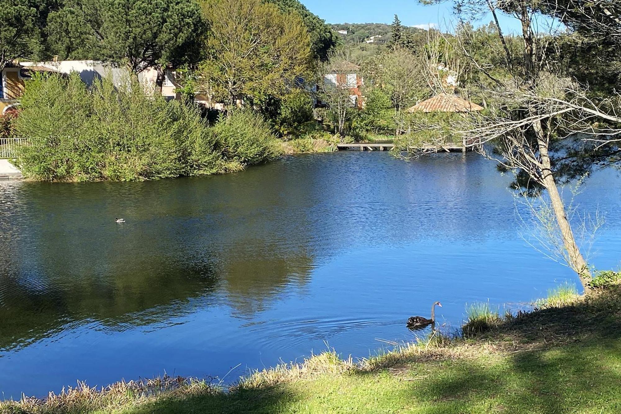 Les Bastides 3124 Ferienhaus Grimaud